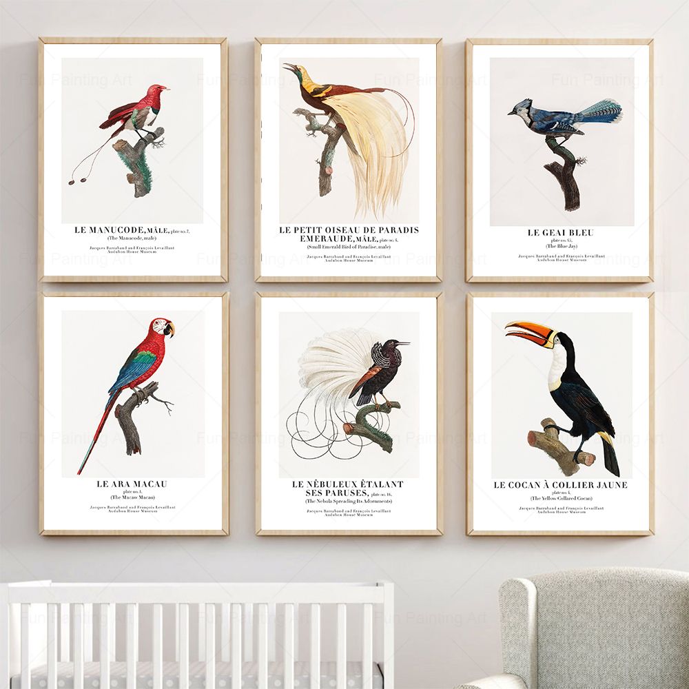Furniture Paradise & Hardware Ghaziabad - Vintage Paradise Bird Wand Kunst Leinwand
