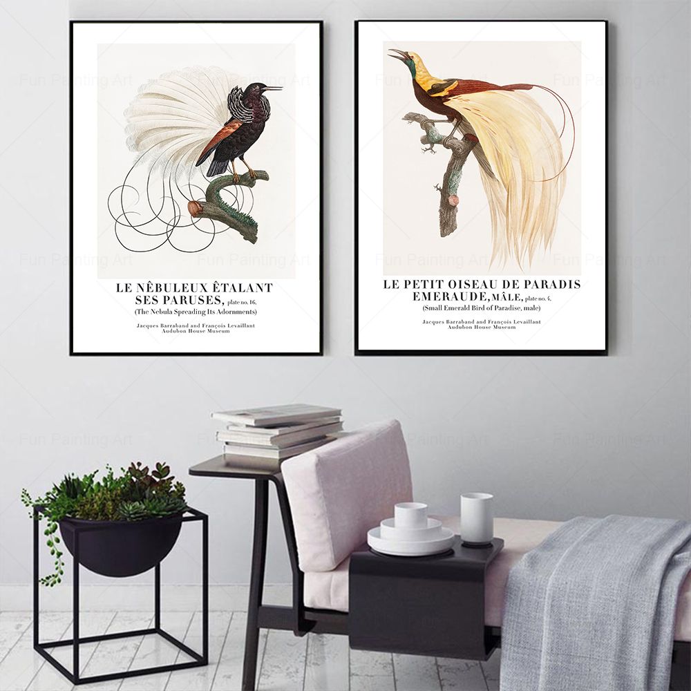 Vintage Paradise Bird Wand Kun – Furniture Paradise & Hardware Ghaziabad Bewertung und Preis