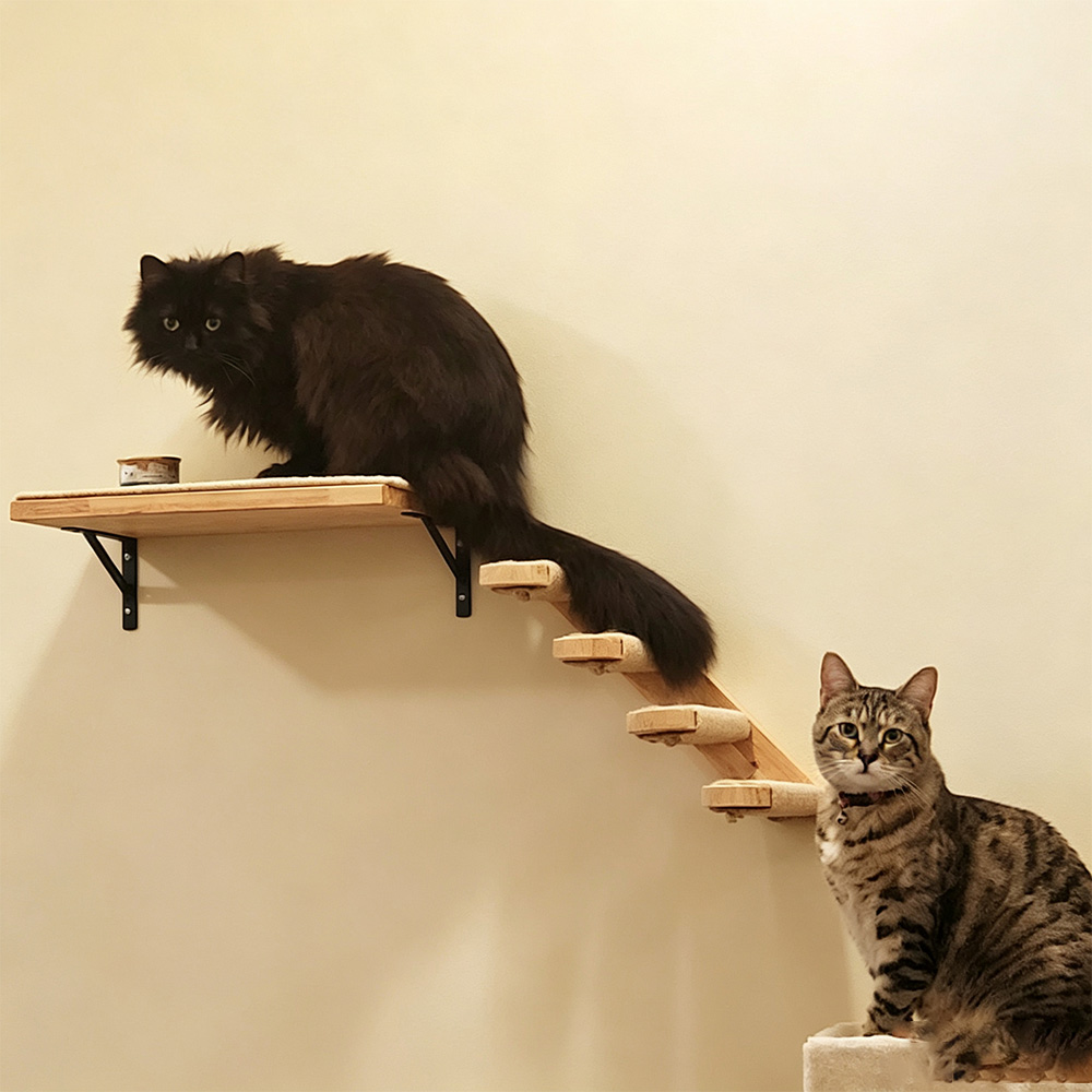 Katzenmöbel Massivholz-Hängebr – Furniture Paradise & Hardware Ghaziabad Bewertung und Preis