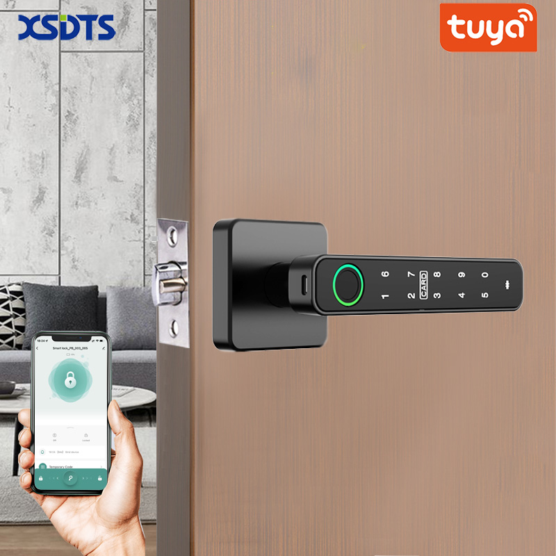 XSDTS Tuya Fingerabdruck-Türsc – Door Handle Bar Bewertung und Preis