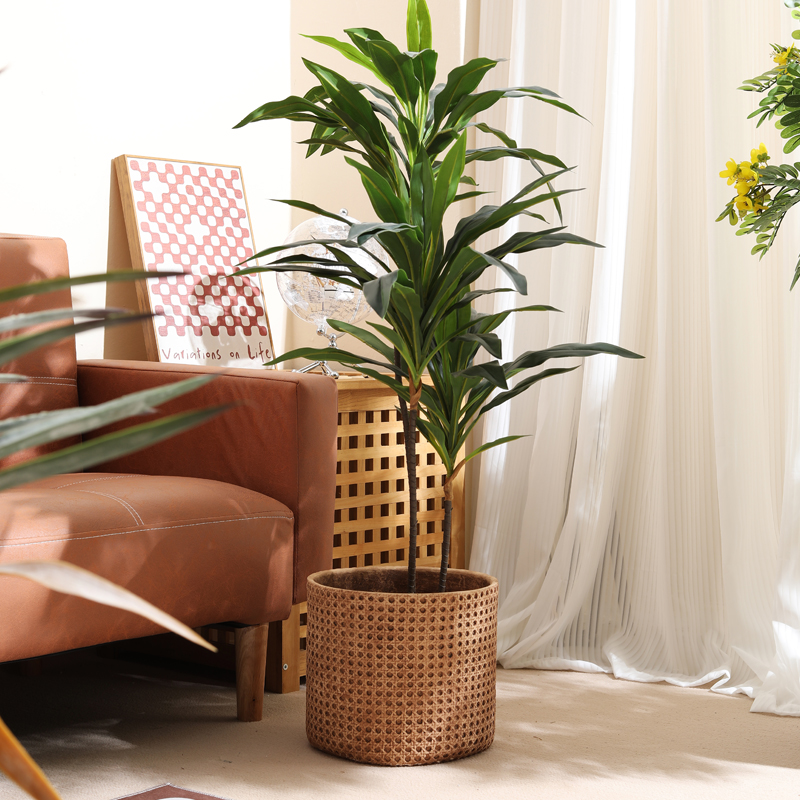 Möbel für kleine Wohnungen, ra – Furniture Paradise & Hardware Ghaziabad Bewertung und Preis